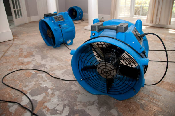 Water damage restoration mold remediation in VA