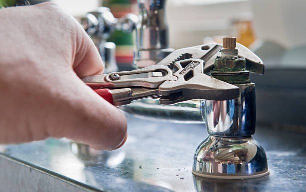 Best Mold removal after water damage  in Dulles Town Center, VA