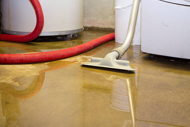 Best Flood damage cleanup  in Dulles Town Center, VA