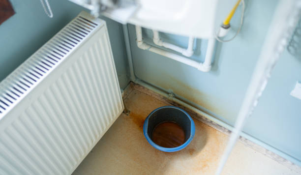 Best Carpet water damage restoration  in Dulles Town Center, VA